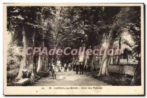 Old Postcard Luxeuil Les Bains Allee Des Platanes