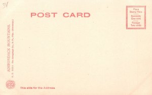 Lake Placid Adirondack Mountains New York NY Rotograph Co. Pub. Vintage Postcard