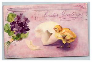 Vintage 1908 Tuck's Easter Postcard - Cute Chick Hatched Egg Purple Flowers