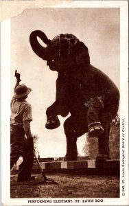 Preforming Elephant St. Louis Zoo St. Louis MO Postcard PC186