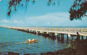 Florida Gandy Bridge Connectong St Petersburg and Tampa