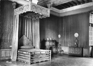 BT5154 Azay le rideau le chateau       France