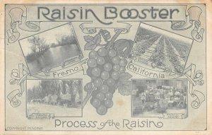 Raisin Booster, Fresno, California Packing, Drying Raisins 1910 Vintage Postcard