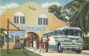 Postcard Florida Key West Municipal Aquarium bus 1940s Teich Gulf Stream 23-5472