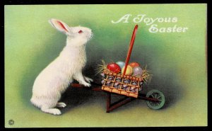 Easter Bunny pushing wheelbarrow Series 753
