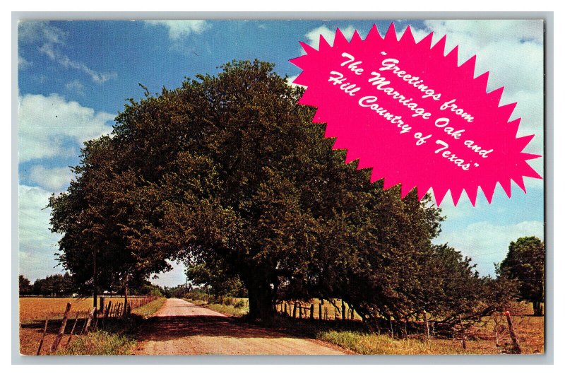 Postcard TX Greetings From The Marriage Oak Hill Country Vtg. Standard View Card