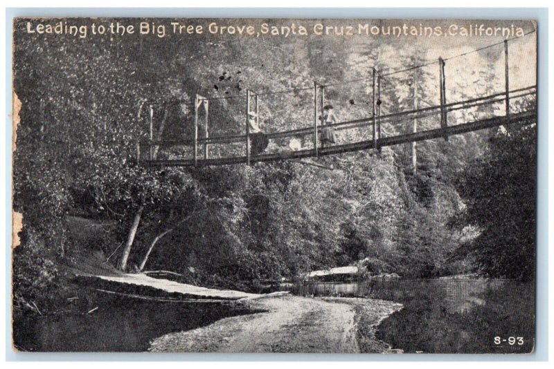 1920 Leading To The Big Tree Grove Santa Cruz Mountains California CA Postcard