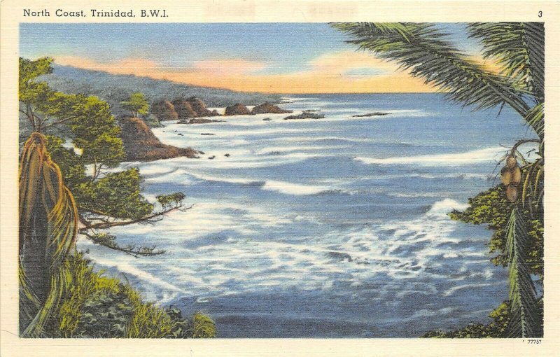 Trinidad British West Indies 1940s Postcard North Coast