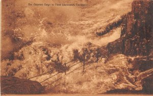 Lot300 the cataract gorge in flood launceston tasmania australia