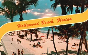 Vintage Postcard Beautiful Waving Palms Along Beach Boardwalk Hollywood Florida