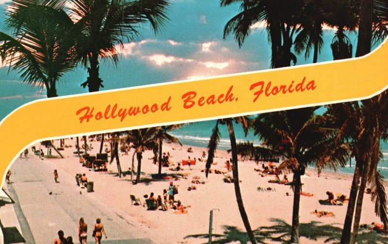 Vintage Postcard Beautiful Waving Palms Along Beach Boardwalk Hollywood Florida