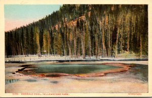 Yellowstone National Park Emerald Pool