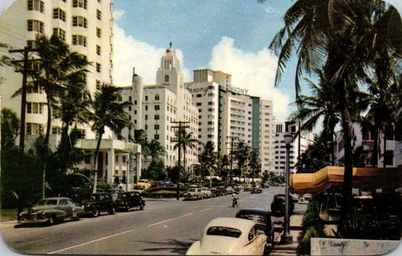 Florida Miami Beach Luxurious Hotels Along Collins Avenue