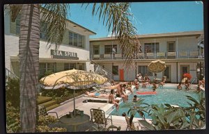 31920) Florida ST. PETERSBURG Sea Spire Motel 11799 Gulf Blvd Treasure Is Chrome