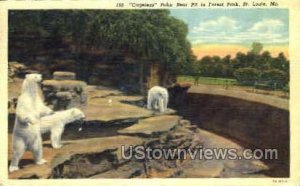 Cageless Polar Bear Pit - St. Louis, Missouri MO Postcard
