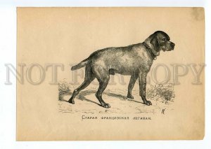 099580 BOURBONNAS POINTER Braque VINTAGE RUSSIAN POSTER