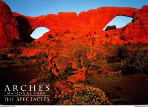 Utah Arches National Park The Spectacles