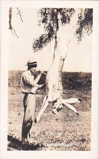 Texas A Texas Jack Rabbit 1945 Real Photo RPPC