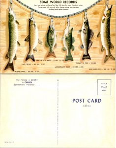 Some World Records The Fishing is Great in Canada Sportsman's Paradise (11711)
