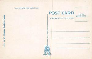 Washington Elm, Cambridge, Massachusetts, Early Postcard, Unused