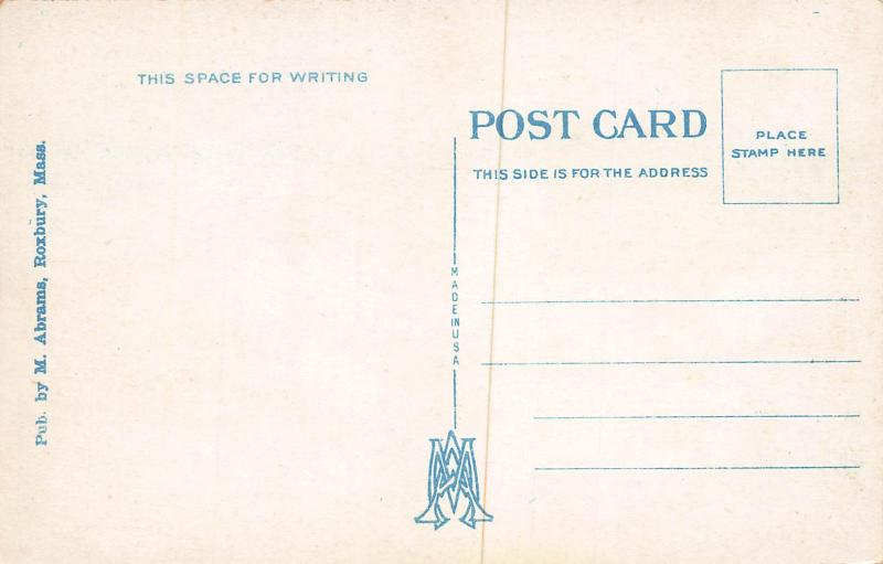 Washington Elm, Cambridge, Massachusetts, Early Postcard, Unused