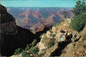 USA Grand Canyon National Park Arizona Vintage Postcard BS.08