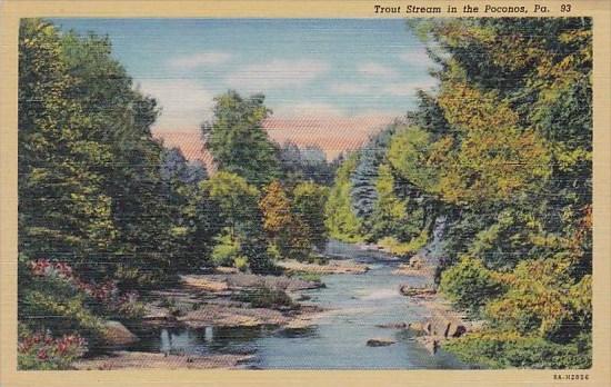 Trout Stream In The Poconos Pennsylvania