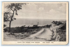 1921 Down Torrey Pine Grade Road Exterior San Diego California Vintage Postcard