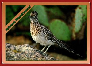 Arizona- Roadrunner - [AZ-400X]