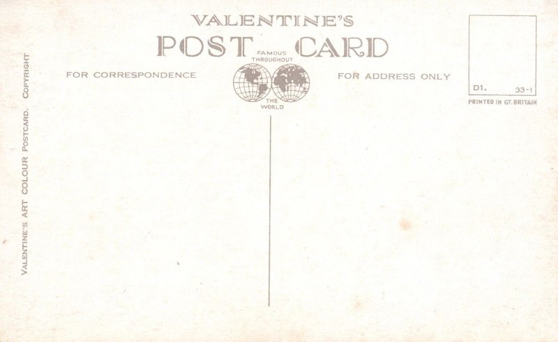Vintage Postcard View Showing Four Bridges Newcastle on Type Valentines Art