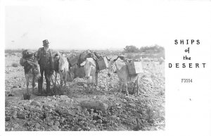 Ships of the Desert Burro Unused real photo