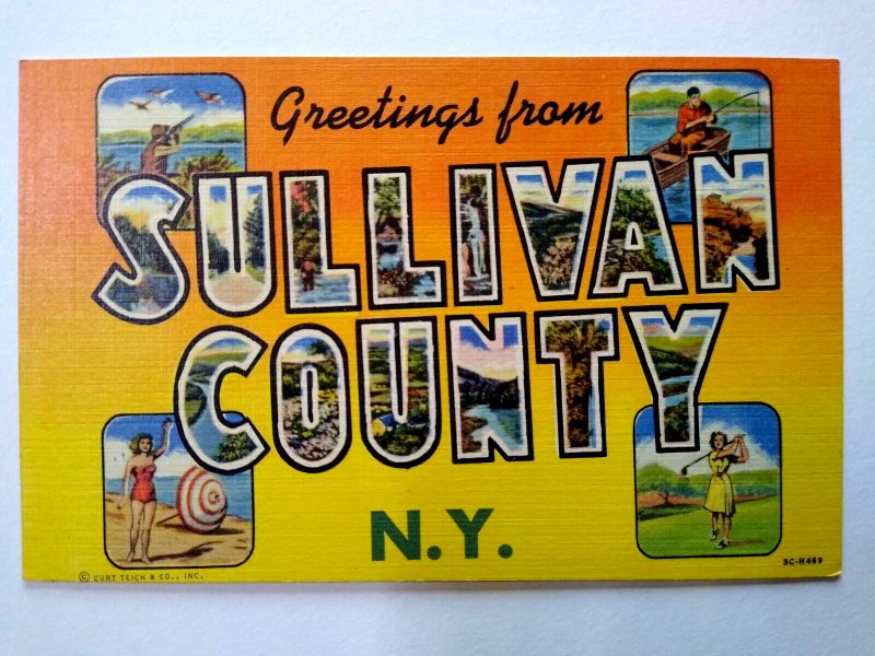 Greetings From Sullivan County New York Large Letter Postcard Linen Curt Teich