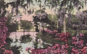 Middleton Place Gardens Charleston South Carolina