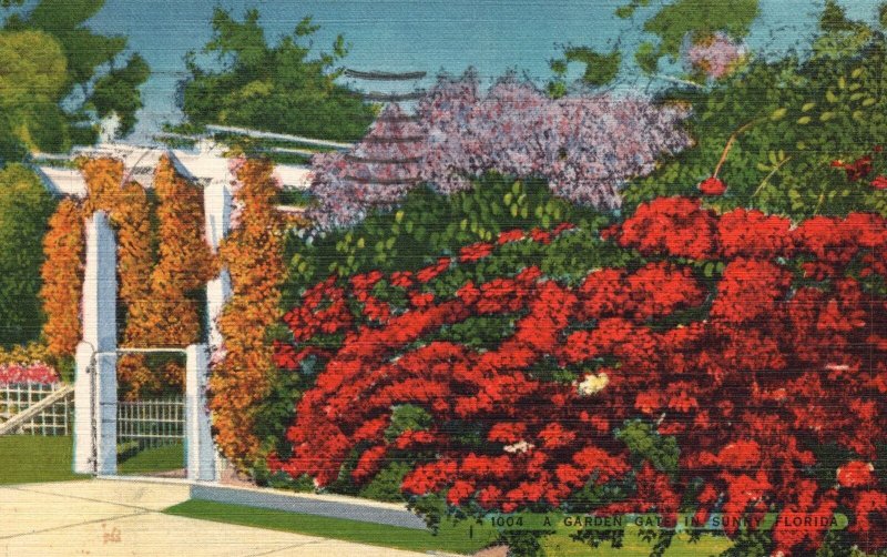Vintage Postcard 1945 A Garden Gate Red Flowers Blooms in Sunny Florida FL