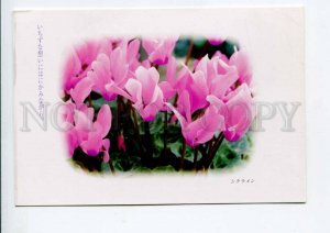 422256 JAPAN 1996 year flowers postal postcard POSTAL stationery