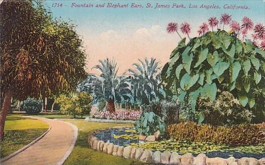 Fountain And Elephant Ears Saint James Park Los Angeles California