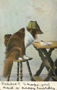 Collie Dog Wearing a Fez and a Bib Sits At Dinner Table Postcard