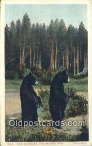 Yellowstone, National Park, Bear Unused 