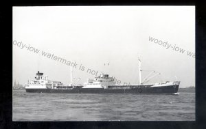 ta1895 - Shell Oil Tanker - Hemicardium - built 1953 - photograph 5.5 x 3.5
