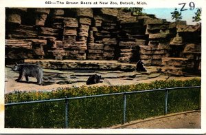 Michigan Detroit Brown Bears At The New Zoo 1931