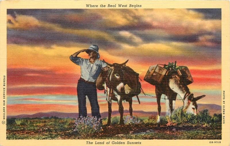 Where the Real West Begins Land of Golden Sunsets Quest Kelly Lyon Postcard