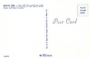 Banyan Tree - Edison Winter Home, Fort Meyers Florida 