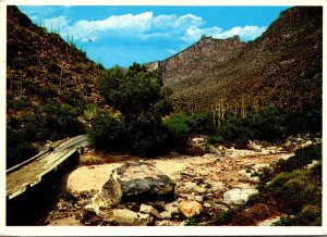 Arizona Tucson Scene In Sabino Canyon 1984