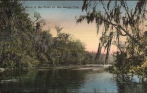 Wakulla Springs FL Hand Colored c1920s Postcard #2