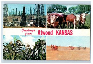 Vintage Atwood Kansas Postcard P96