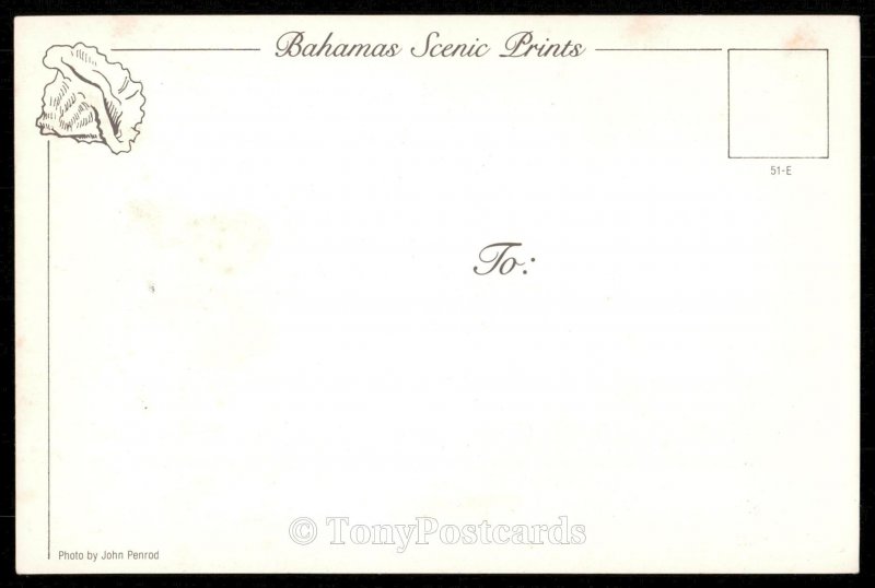 Nassau - Sunrise from Paradise Island Bridge