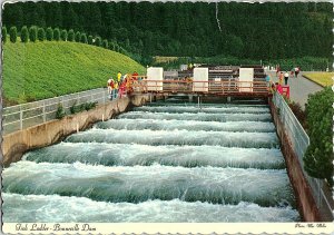 Fish Ladder Booneville Dam Oregon Vintage Postcard Continental View Card