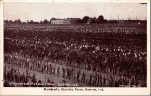 View Overlooking Kundred's Gladiola Farm, Goshen IN c1929 Vintage Postcard K73