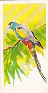 Brooke Bond Vintage Trade Card Vanishing Wildlife 1978 No 36 Golden Shouldere...