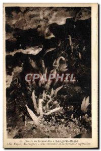 Old Postcard Grotte du Grand Roc Laugerie Low A true and amazing vegetation